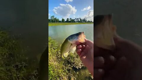 Catching fish at football practice