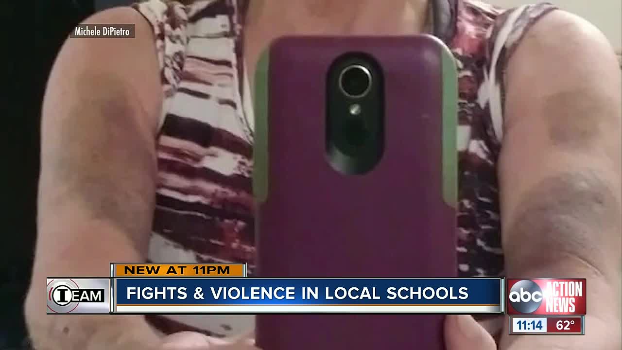 Former school employee battered by student sounds alarm on violent campus fights