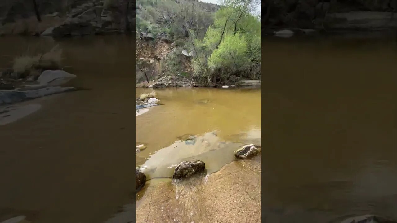 Hiking - March 19th - Crossing 1