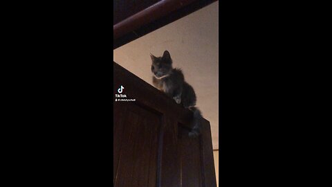 You didn’t get up when I told you to