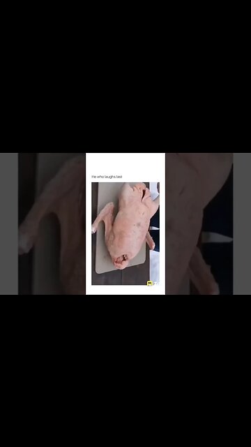 viral short | viral funny shorts | funny animal #short #shortsfeed #shortvideo #shorts #tranding