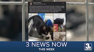 3 News Now This Week | Mar. 20, 2021 - Mar. 26, 2021