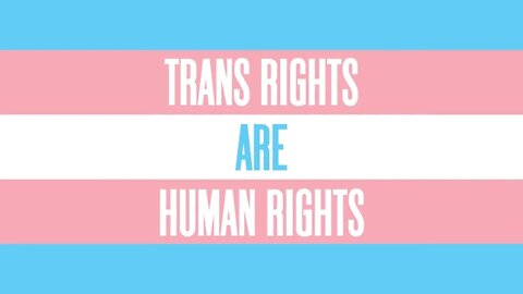 TRANS AWARENESS WEEK #TRANSAWARENESS #TRANSISBEAUTIFUL #TRANSAWARENESSWEEK #TRANSGENDER