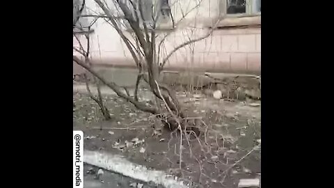 2 abandoned armored vehicles of the armed forces of Ukraine