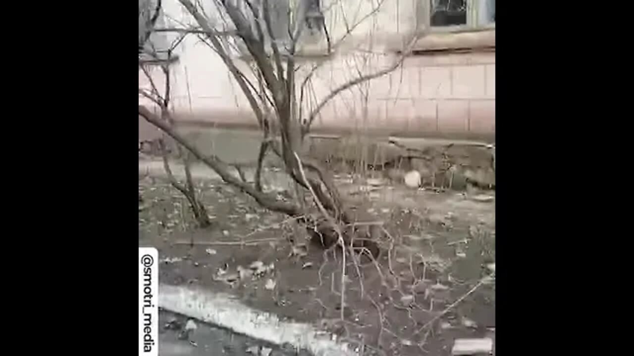 2 abandoned armored vehicles of the armed forces of Ukraine