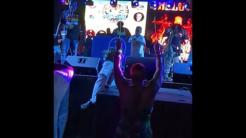 the roselle house music Festival