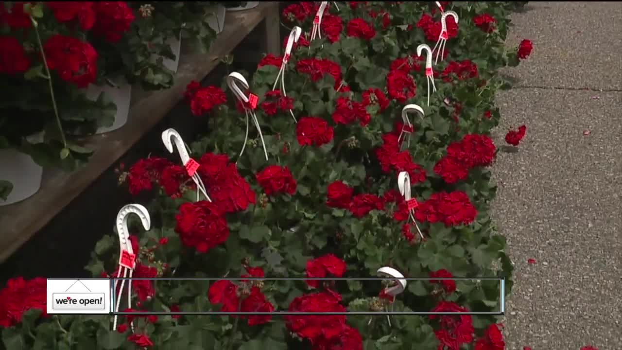 Outdoor flower shop offers last-minute Mother's Day gifts