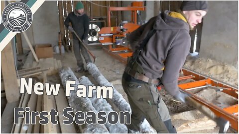 So Much Happening in Farm Start Up | First Season Farm in Austria