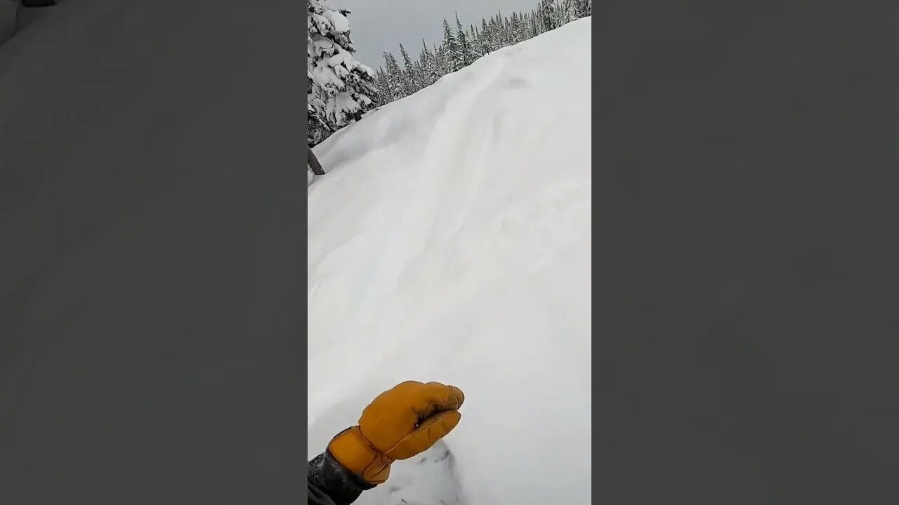 Fresh Turns #short #shorts #snowboarding #snowboard #powder #pow