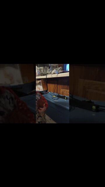 favorite horror hosts?