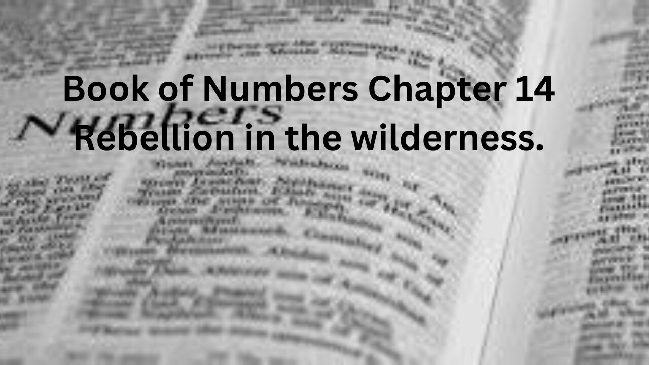 The Book of Numbers. Part 14. Chapter 14. Israelites rebel against GOD, again!