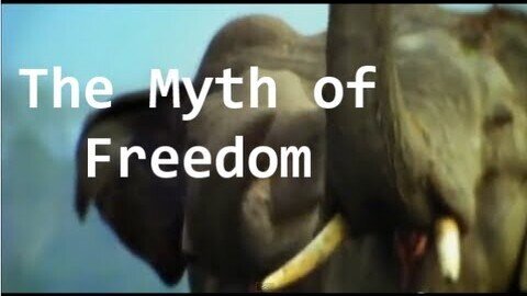 Hamza Tzortzis - The Myth of Freedom