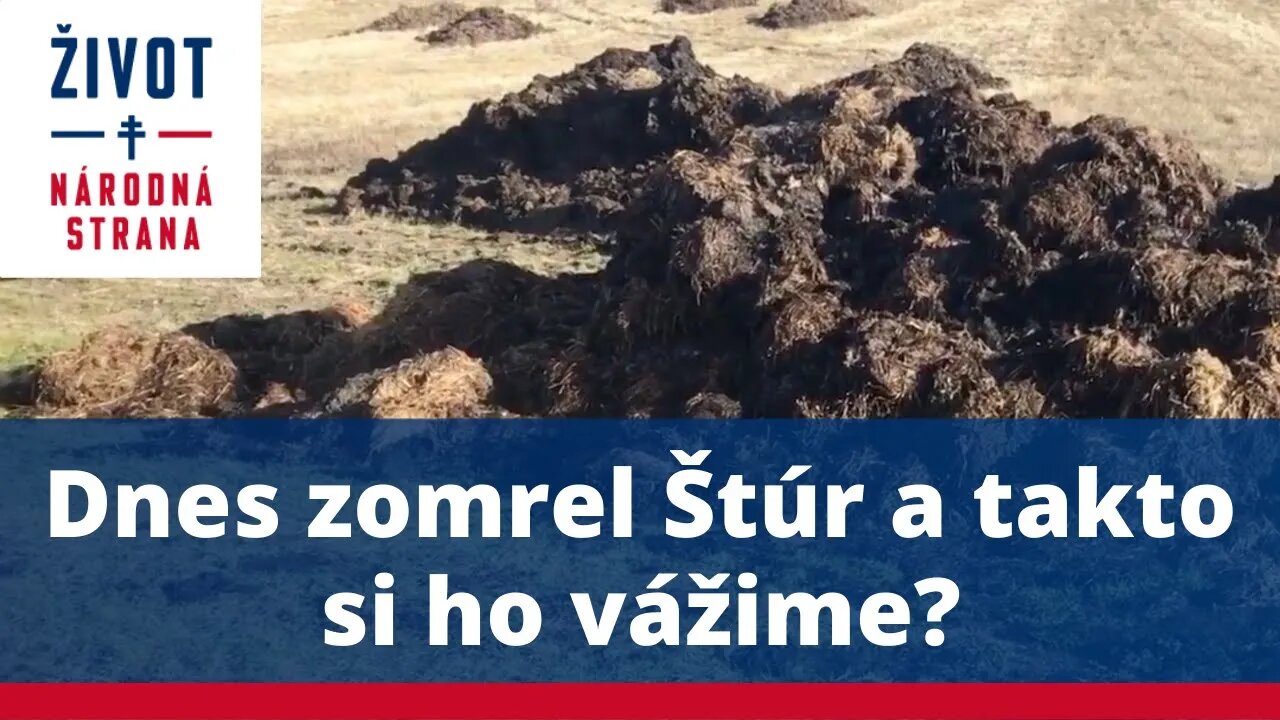 Dnes zomrel Štúr a takto si ho vážime?