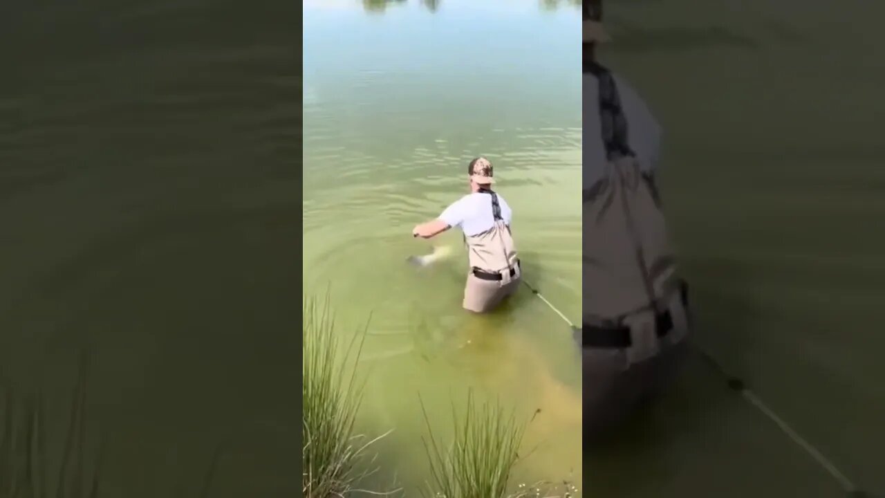 When You Are Highly Favoured by The Universe #shorts #fishing