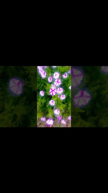 Good Morning @icecube#legend#california#love