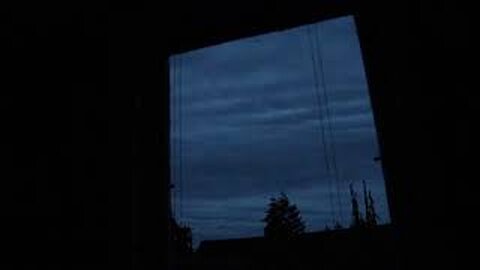 The Window