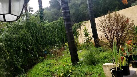 miracle healing of Water Closet over night