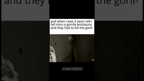 RIP Harambe - Dank Meme v22