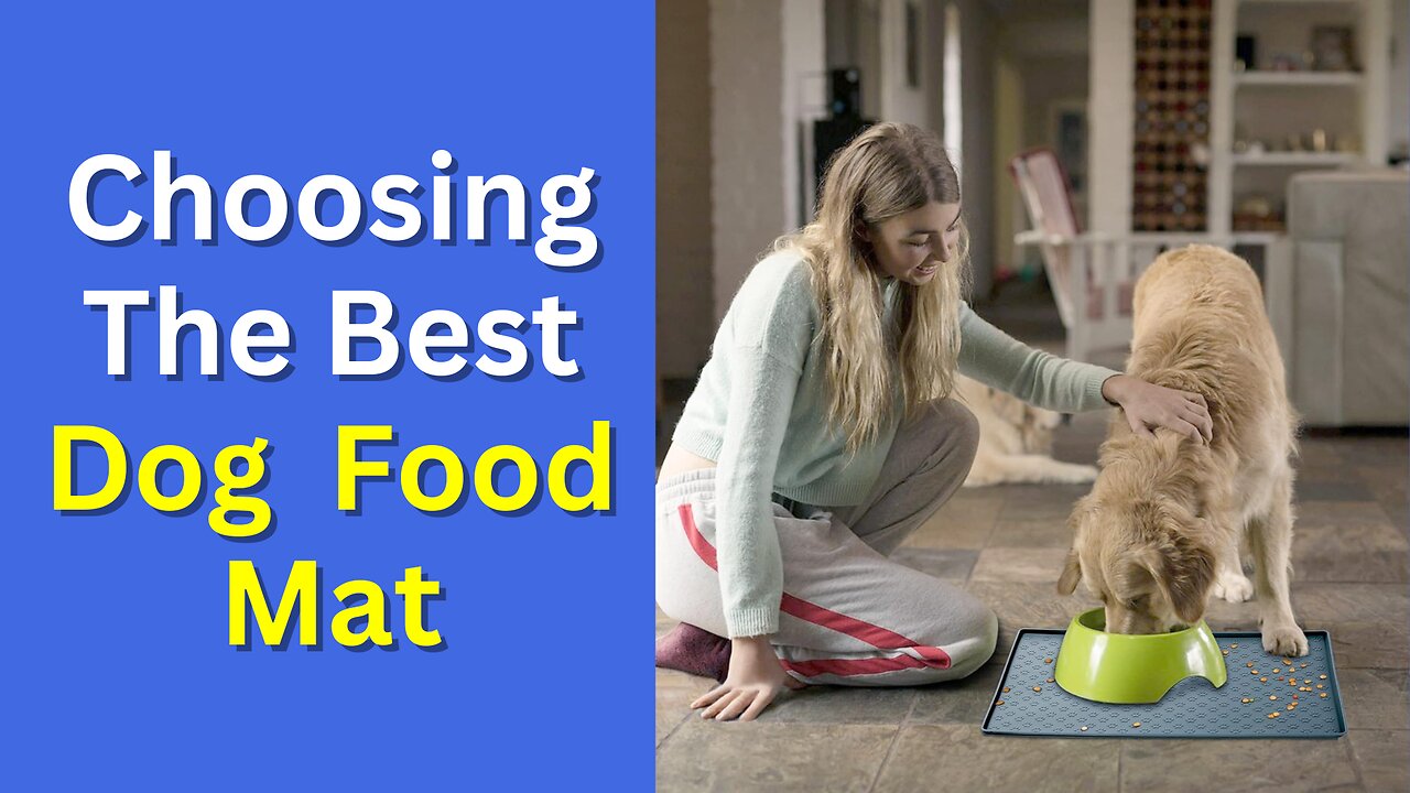 19 Tips for Choosing the Best Dog Food Mat | Daily Shopping Tips