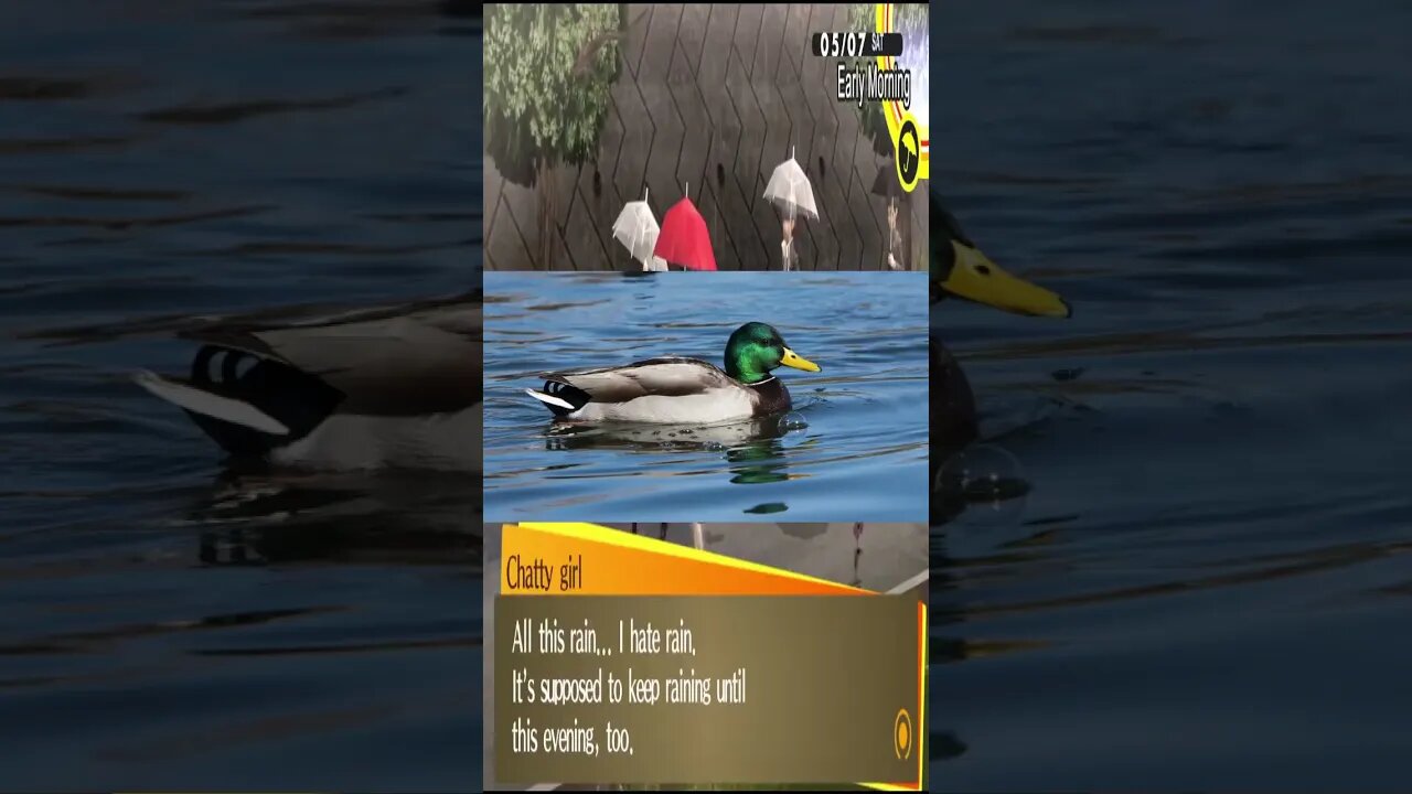 (short) Quack