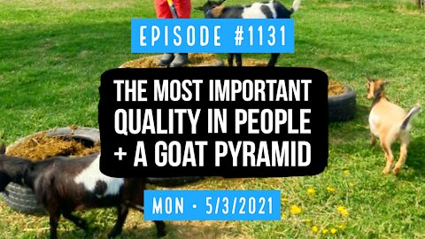 #1131 The Most Important Quality In People, & A Goat Pyramid