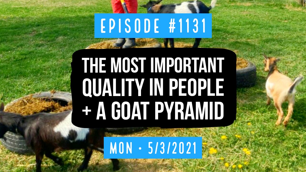 #1131 The Most Important Quality In People, & A Goat Pyramid