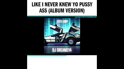 Like I Never Knew Yo Pussy Ass (Album Version)