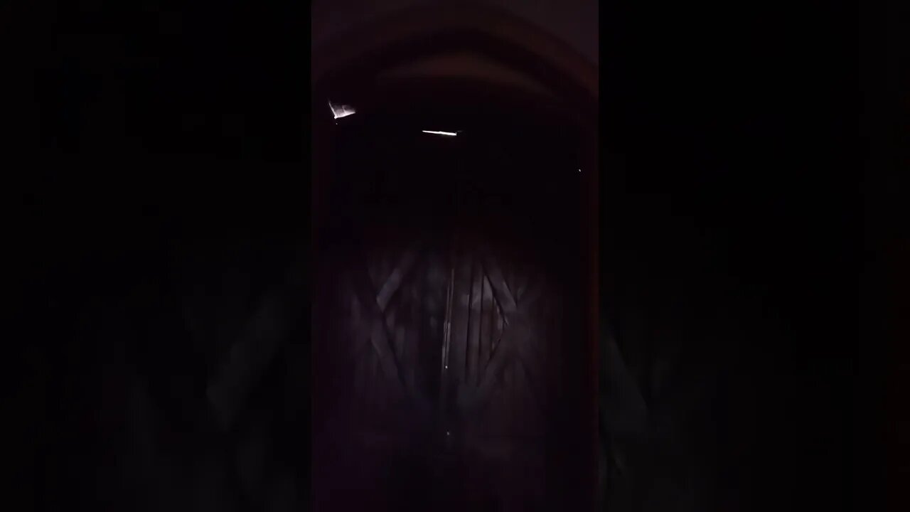 sieht irgendwie gespenstisch aus #shorts