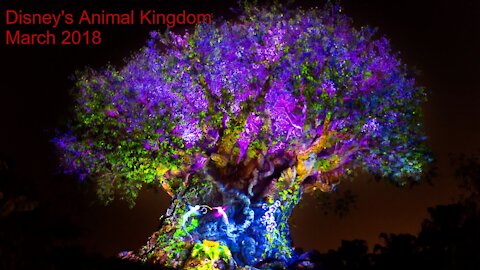 Animal Kingdom 2018