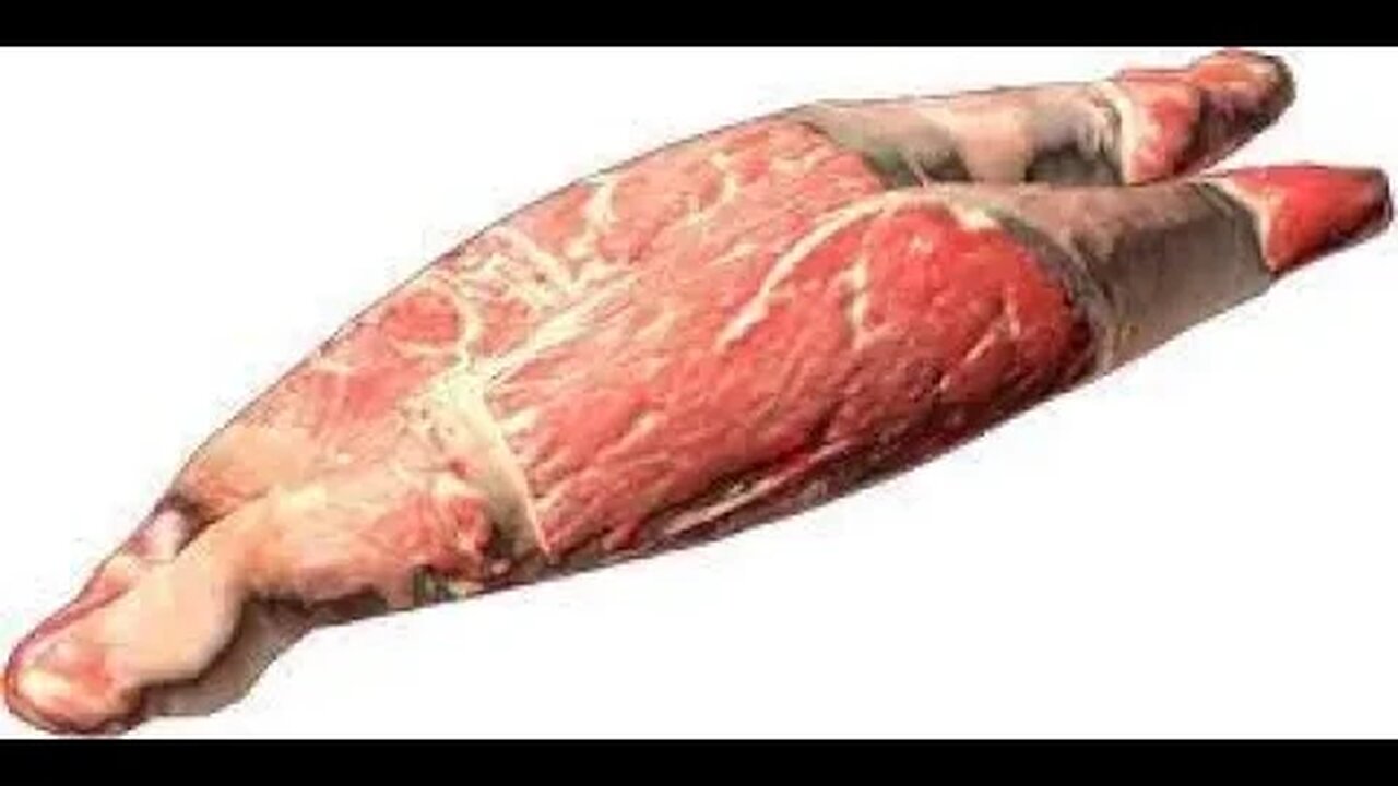 Power X : Ryan is OP : Dead Island 2