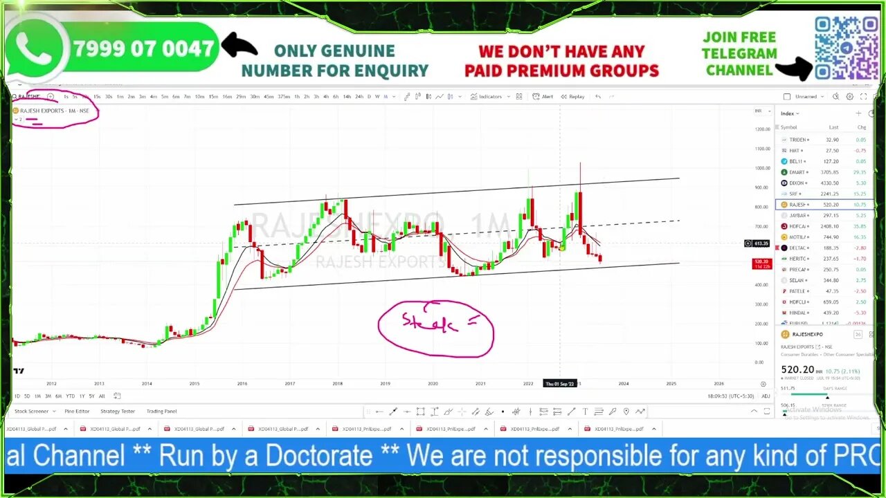 MULTIBAGGER OF THE YEAR || RAJESH EXPORTS SHARE ANALYSIS AND TARGETS || BUY FOR MIN 100% RETURNS