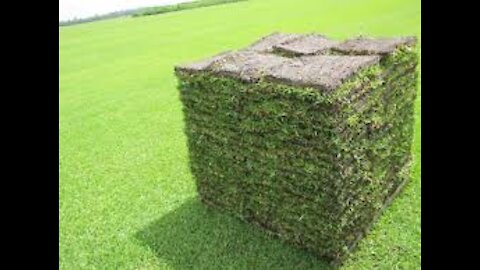 Watch the beautiful video how the grass pallets are made