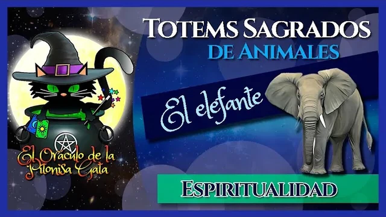 🐘El TOTEM de EL ELEFANTE👍El elefante como ANIMAL DE PODER 🌸 ESPIRITUALIDAD😇