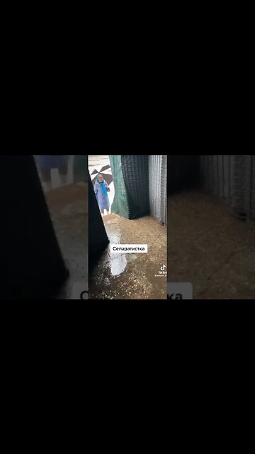 Babushka gives a lesson to ignorant Ukrainian Nationalist