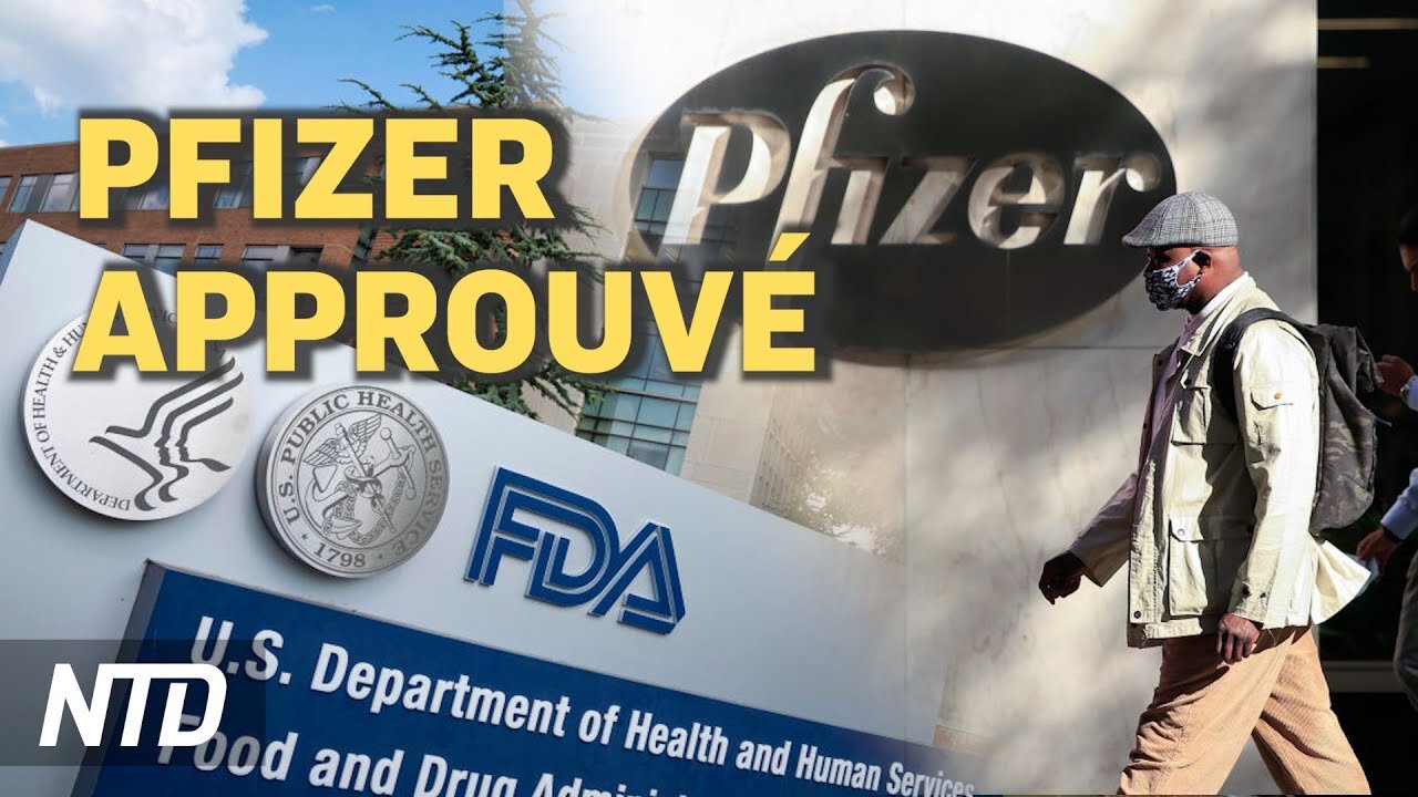 Pfizer : approbation totale de la FDA; RU : les fournisseurs de tests PCR malhonnêtes mis hors jeu