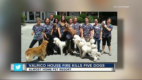 5 dogs, including show dogs, die in Valrico fire