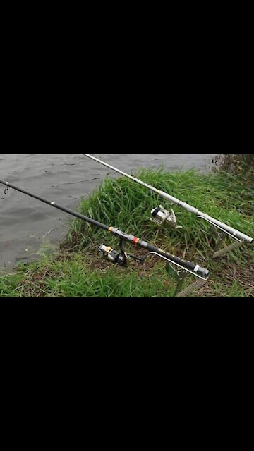 Automatic Fish Catcher Rod Holder