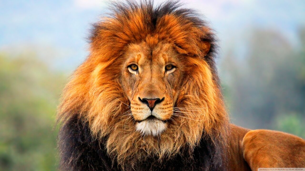 Nothing Can Stop What is Coming.