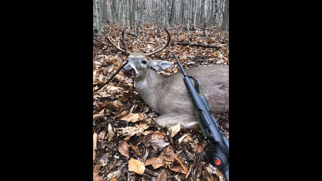 1-Shot Deer Hunting: Too Far To Drag Your Buck Out?