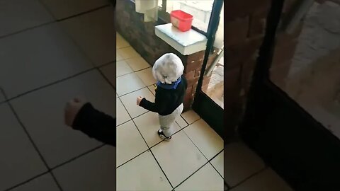 Cute Baby Boy Goes To Get His Sweets #shorts