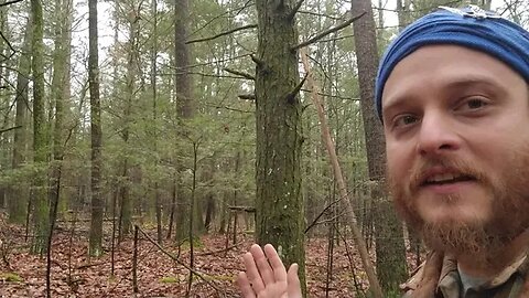 How old are these walls really? @walkandtalkthroughnewengland