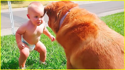 Best video of Cute Babies and Pets part#4 - Funny Baby and Pet