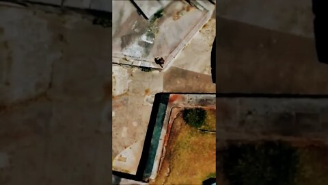 INCREDIBLE PARKOUR WORKOUT 🔥