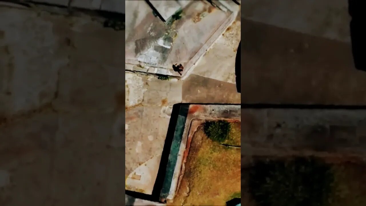 INCREDIBLE PARKOUR WORKOUT 🔥