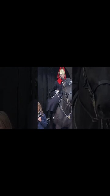 She gets a warning your to close #horseguardsparade