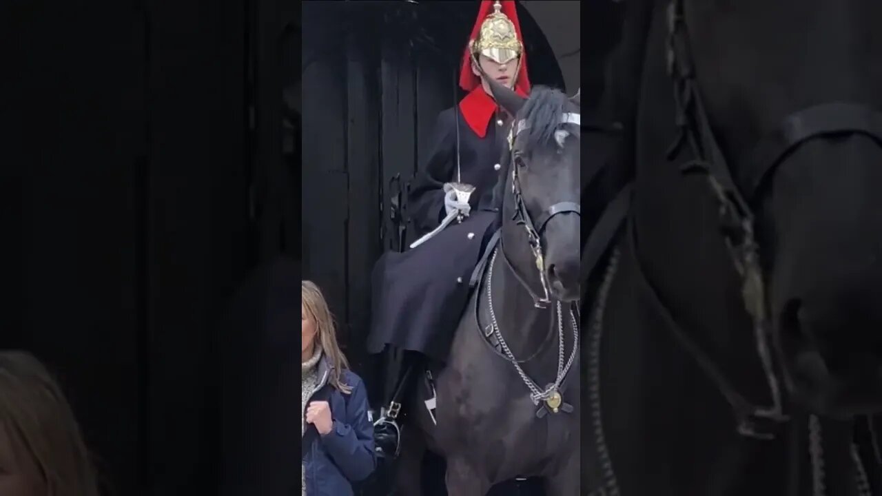 She gets a warning your to close #horseguardsparade