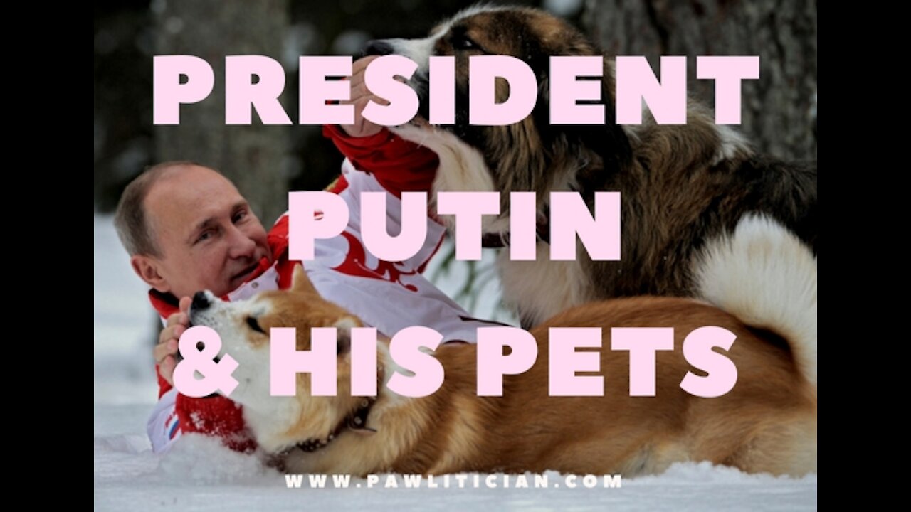 Russian President Putin and his Pets