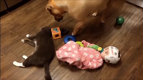 #baby #child #children #kids #fun #funny #beautiful #beuty #video