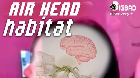 The AIRHEAD habitat