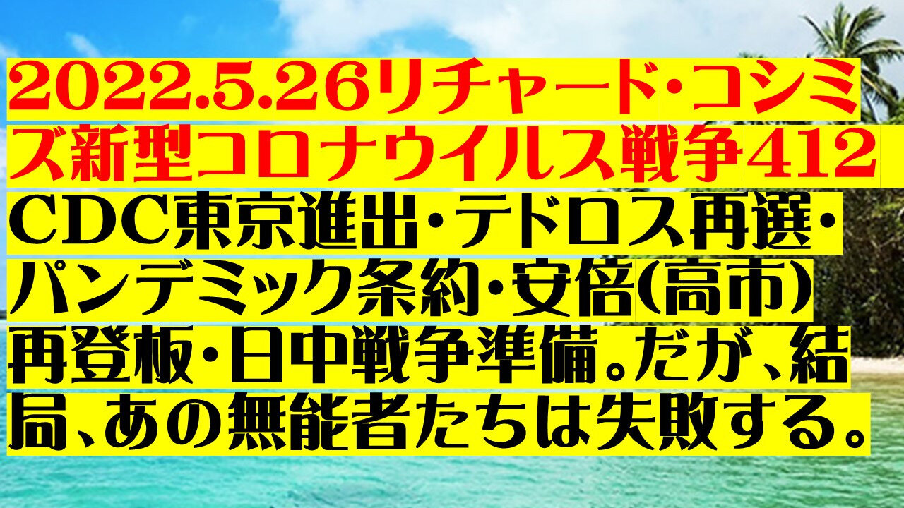 2022.05.26 リチャード・コシミズ新型コロナウイルス戦争４１２